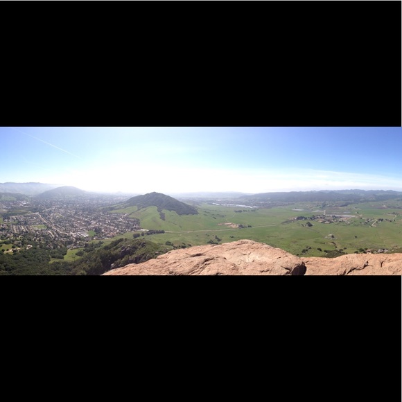 Meet your Posher, Sandy - Picture 1 of 1